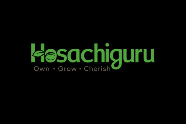 Hosachiguru
