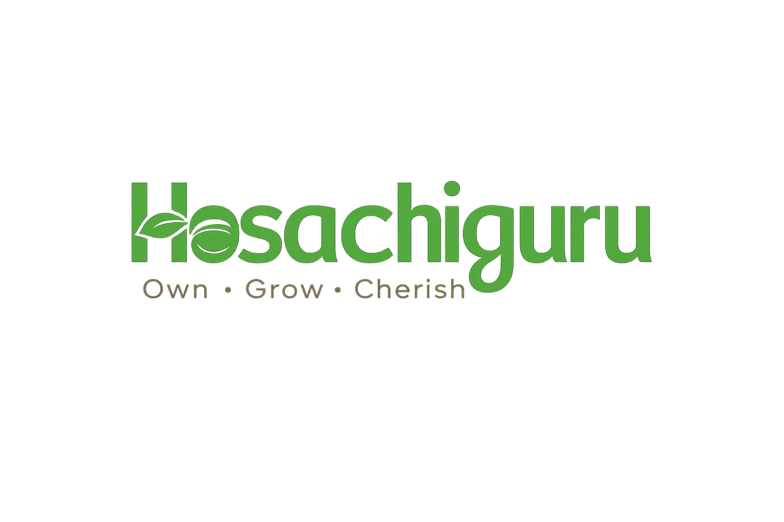 Hosachiguru